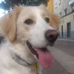 Dana - @danona_pequenona - Instagram