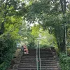 dandoona - @dana.raho - TikTok