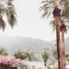danona - @.foundinitaly - TikTok