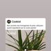Daniele Onestinghel - Facebook