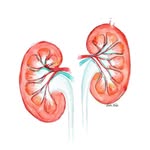 DAÑO RENAL POR DIETA PROTEICA - @dano_renal_por_dieta_proteica - Instagram