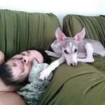 Daniel Orsi - @danorsi - Instagram