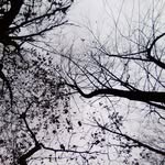 daniel ortman - @danielortman2007 - Instagram