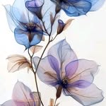Dan Osman - @danosman53 - Instagram