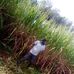 Dan Otin - Facebook