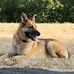 Dan Otten - Facebook