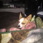 Dan Oxley - @boonescooner - Instagram