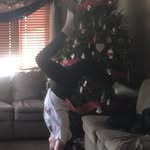 Reece Palmatier - @dance_palmatier - Instagram