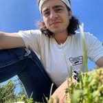 Daniel Palmieri - @danthewhale8 - Instagram
