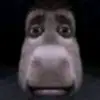 papa.dan_ - @papa.dan_ - TikTok