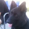 dangerparenteau - @dangerparenteau - TikTok