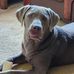 Dan Pasch - Facebook