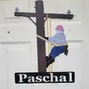 Dan Paschal - @dan.paschal - TikTok