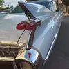 danpatrick443 - @danpatrick443 - TikTok