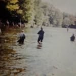 Dan Pettingill - @pettingilld - Instagram