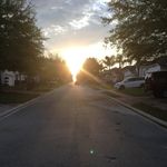 Dan Pettit - @pettitdan - Instagram