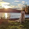 Dan Pickel - @dan.pickel64 - TikTok