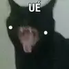 danpierro182 - @danpierro182 - TikTok
