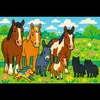 🐴 Dancing Pines Farm 🐴 - @dancingpinesfarm - TikTok