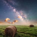 Dan Plamondon - @captclaw00 - Instagram
