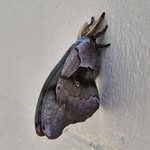 Dan Plamondon - @dan.plamondon.33 - Instagram