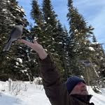 Daniel Plamondon - @daniel.plamondon.378 - Instagram