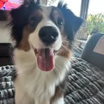 Dan Poore - @danpoore99 - Instagram