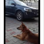 Dan Popa - @popa8250 - Instagram
