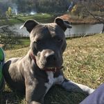 Dan Popa - @dan__popa - Instagram