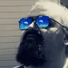 Dan Popa - @armittrex_ro - TikTok
