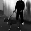 Dan Popescu - @dan.popescu85 - TikTok