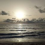 Dan Poulos - @casuinn - Instagram