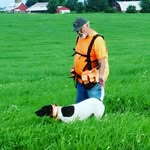 dan priebe - @priebedan - Instagram