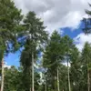 daniquint2 - @daniquint2 - TikTok