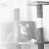 danrabbitt - @danrabbitt - TikTok