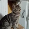 Dan Raby - @dan.raby4 - TikTok