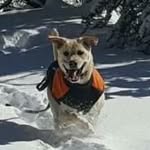 Dan Raddatz - @dan.raddatz.7 - Instagram