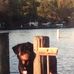 Dan Raden - Facebook