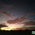DAN RADEN - @danraden8 - Instagram