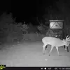 Dan Rader - @dan.rader32 - TikTok