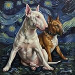 Dan Allen-Raftery - @allenraftery - Instagram
