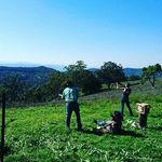 @dan_rains_ - Instagram