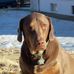 Dan Ralston - Facebook