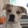 dan ram - @danrma_ - TikTok