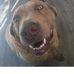 Dan Ramage - Facebook