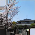 デイサービス「だんらんの家 上沢」 - @danran_kamisawa - Instagram
