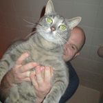 Dan Randazzo - @randazzodan - Instagram