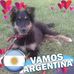 Dany Randazzo - Facebook
