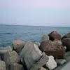 danrandelov - @danrandelov - TikTok