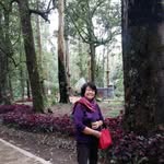 Endang Rapi - @rapiendang - Instagram